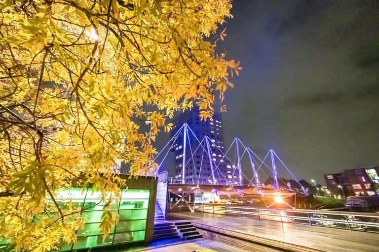 Yellow leaves at night!