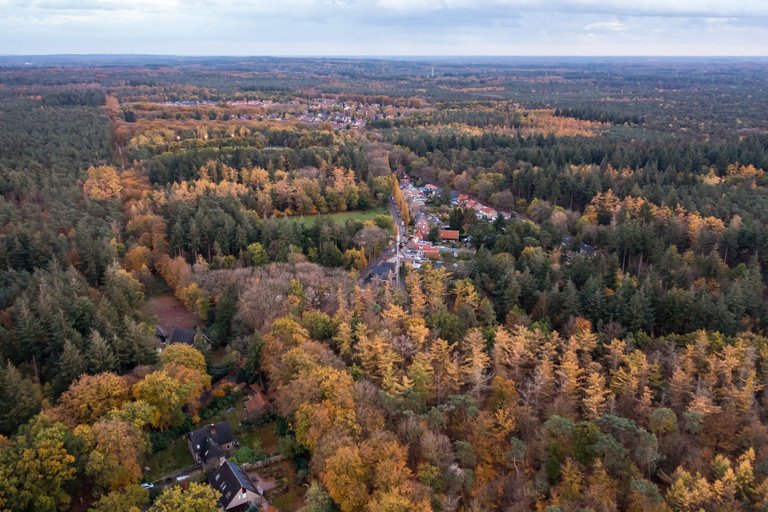 DJI_0125.jpg