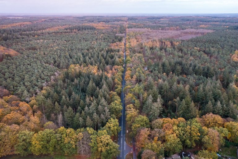 DJI_0123.jpg