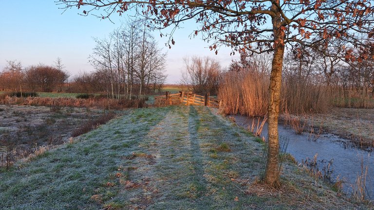 20250217_082650.jpg