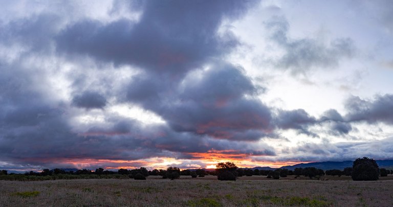 2X9A5128-Pano.jpg