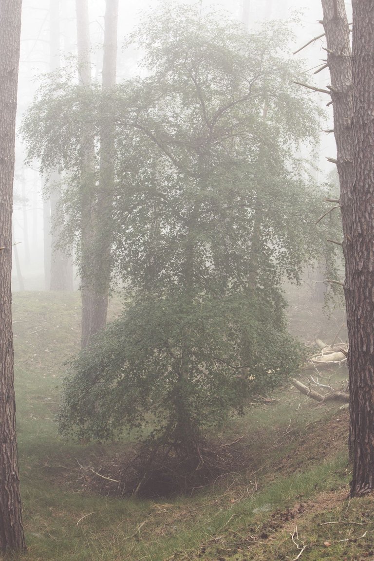 2X9A9287.jpg
