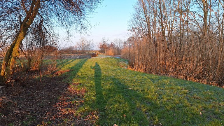 20250217_082841.jpg