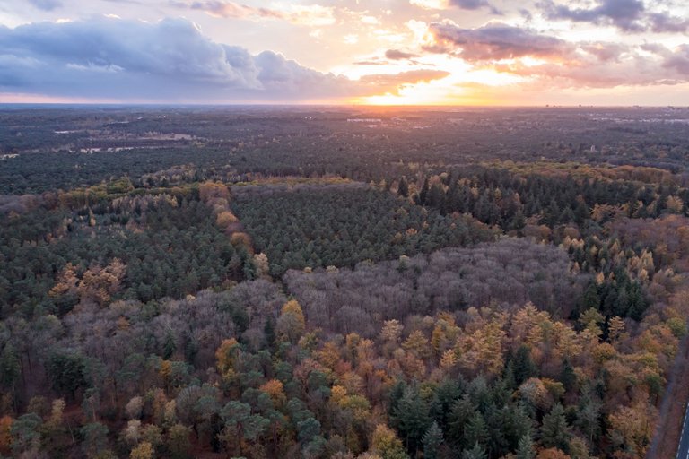DJI_0128.jpg
