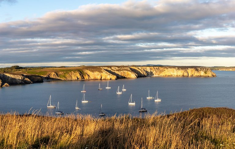 IMG_5802-Pano.jpg