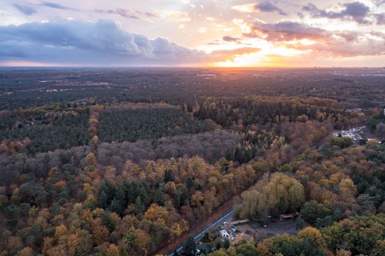 DJI_0131.jpg
