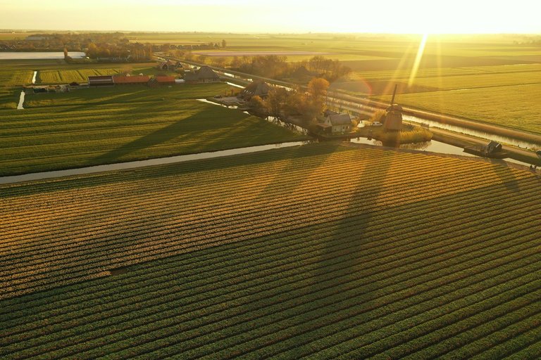 DJI_0300.jpg