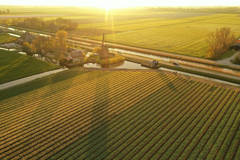 DJI_0298.jpg