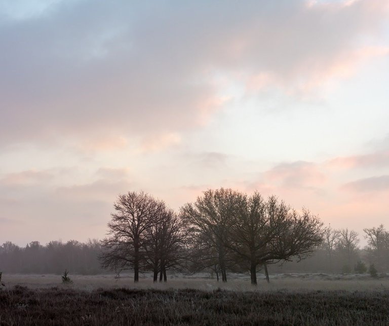 IMG_9517-Pano.jpg