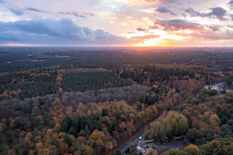 DJI_0132.jpg