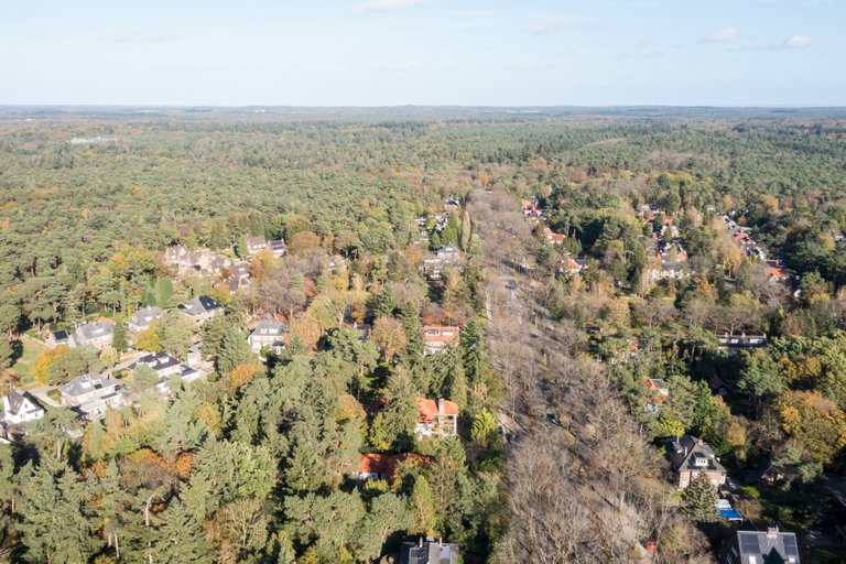 DJI_0103.jpg