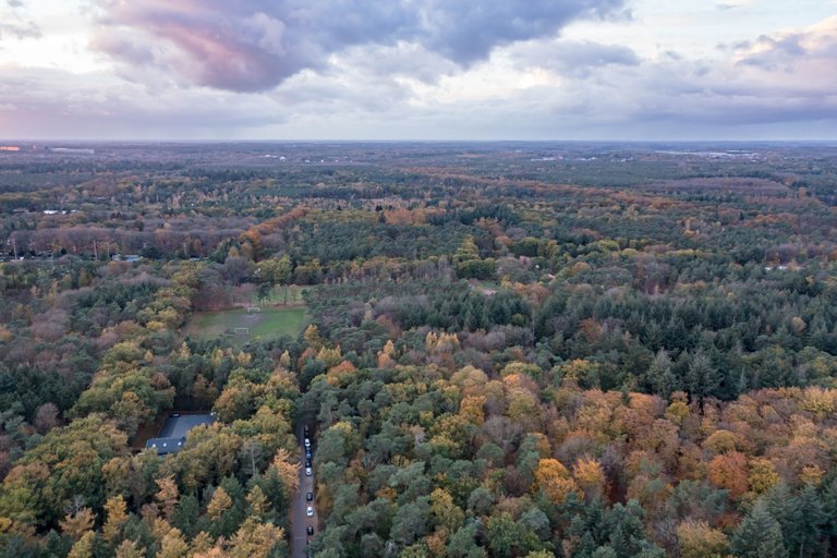 DJI_0130.jpg