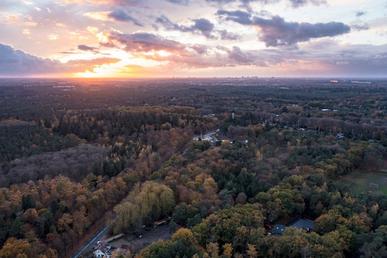 DJI_0133.jpg