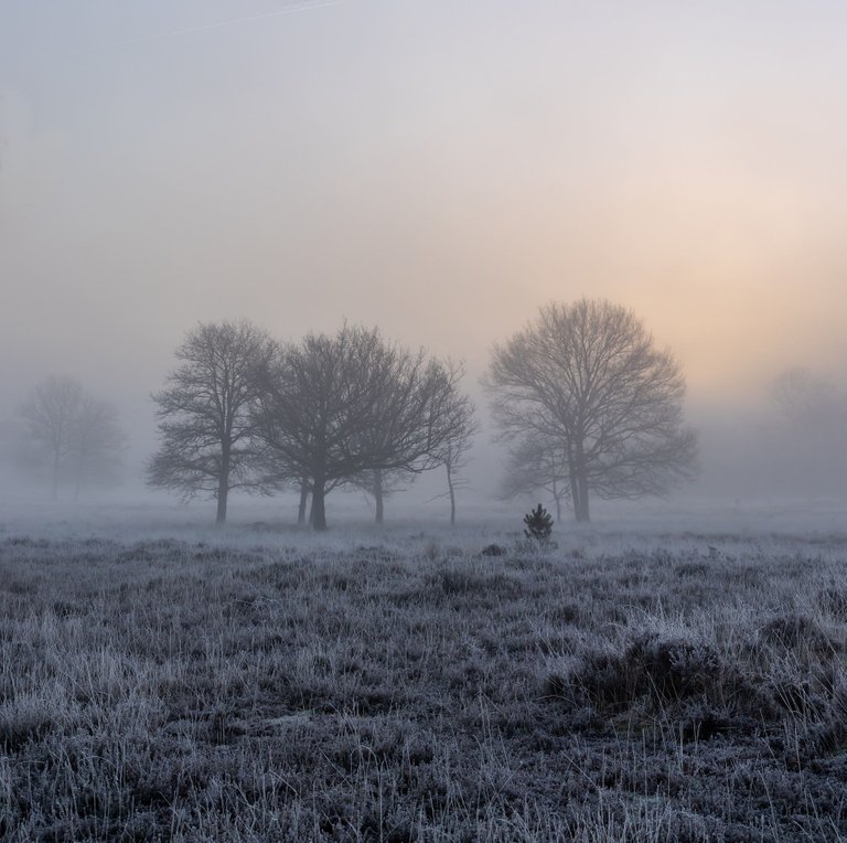 IMG_7028-HDR-Pano.jpg