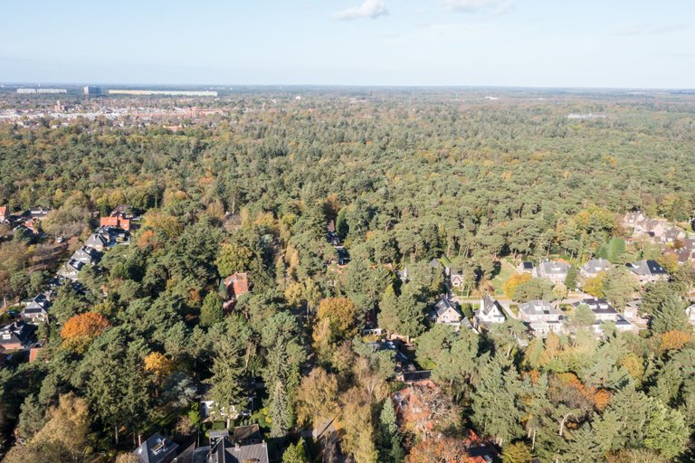 DJI_0104.jpg