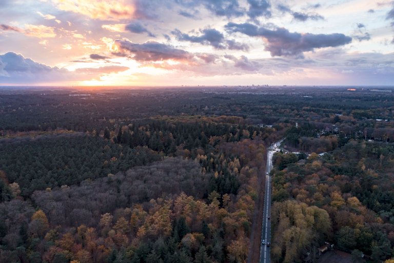DJI_0129.jpg