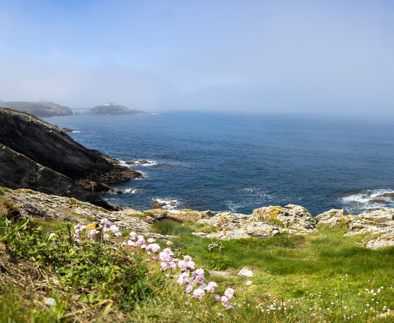 2X9A1199-Pano.jpg