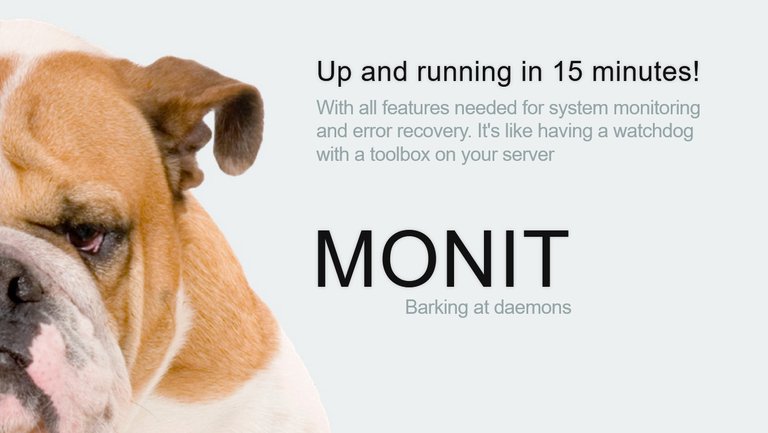 monit-monitoring-management.jpg