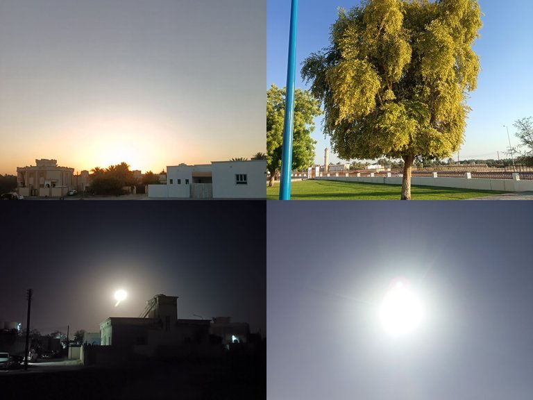 1000060577.jpg