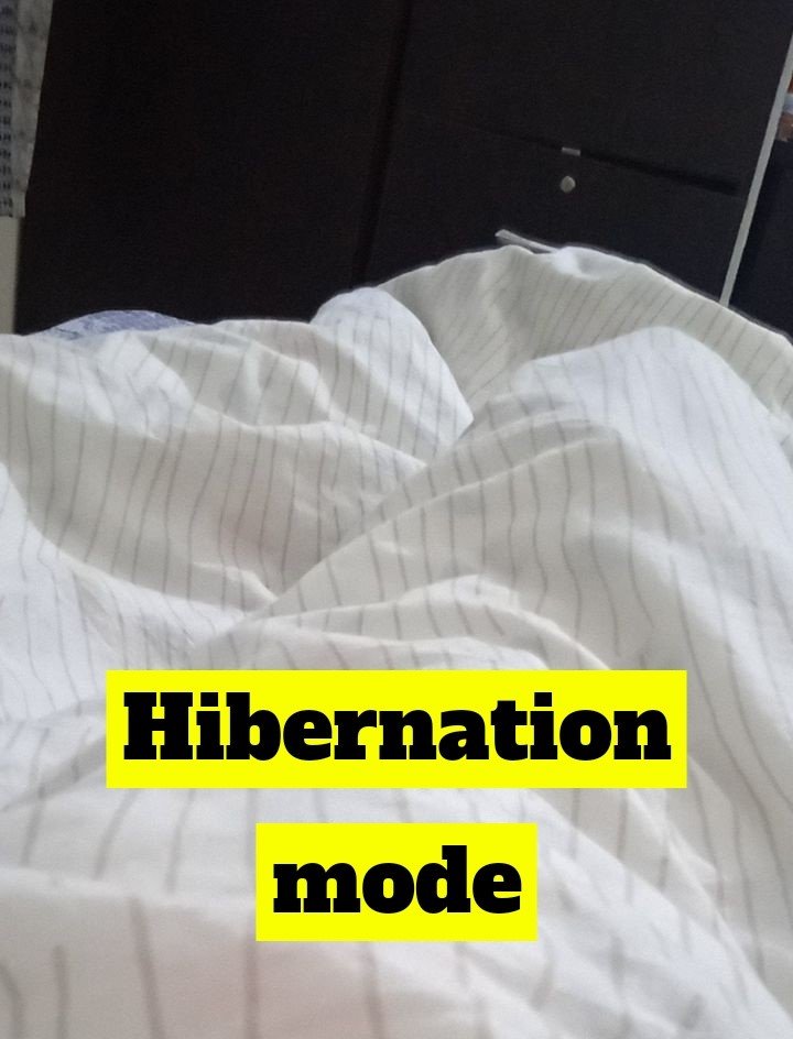 hibernation_mode.jpeg