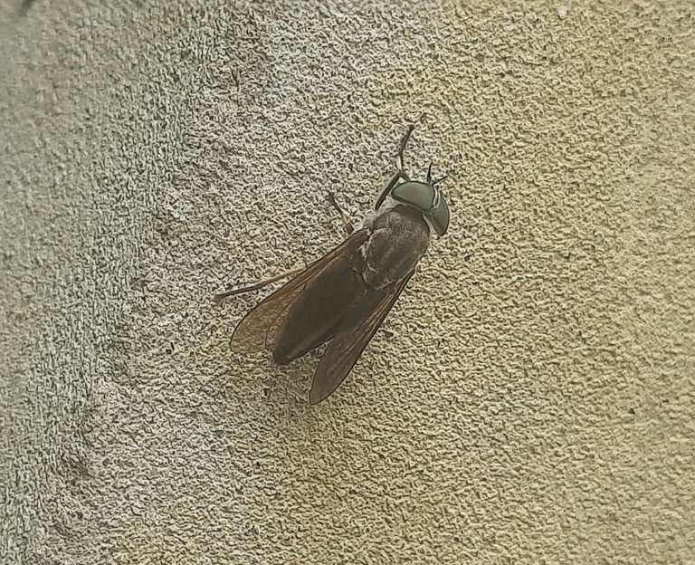 20250812_140207.jpg