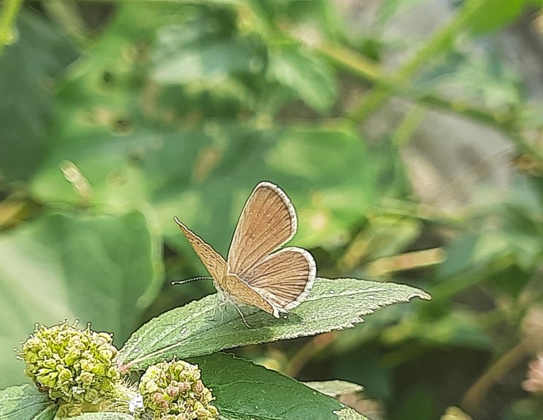 20250429_140612.jpg