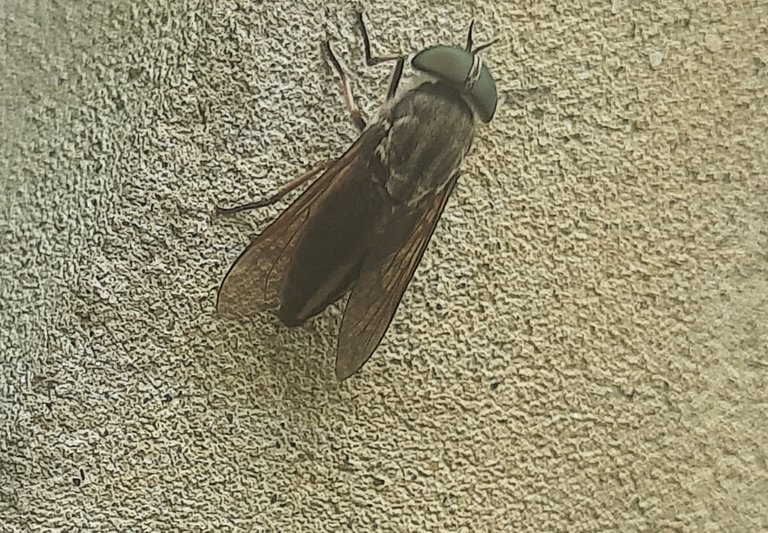 20250812_140210.jpg