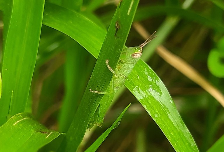20250720_133205.jpg