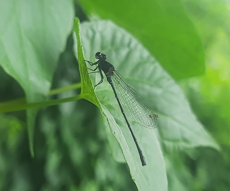 20250706_151833.jpg