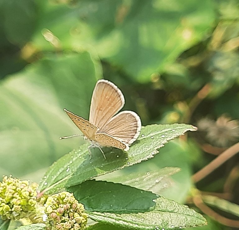 20250429_140616.jpg