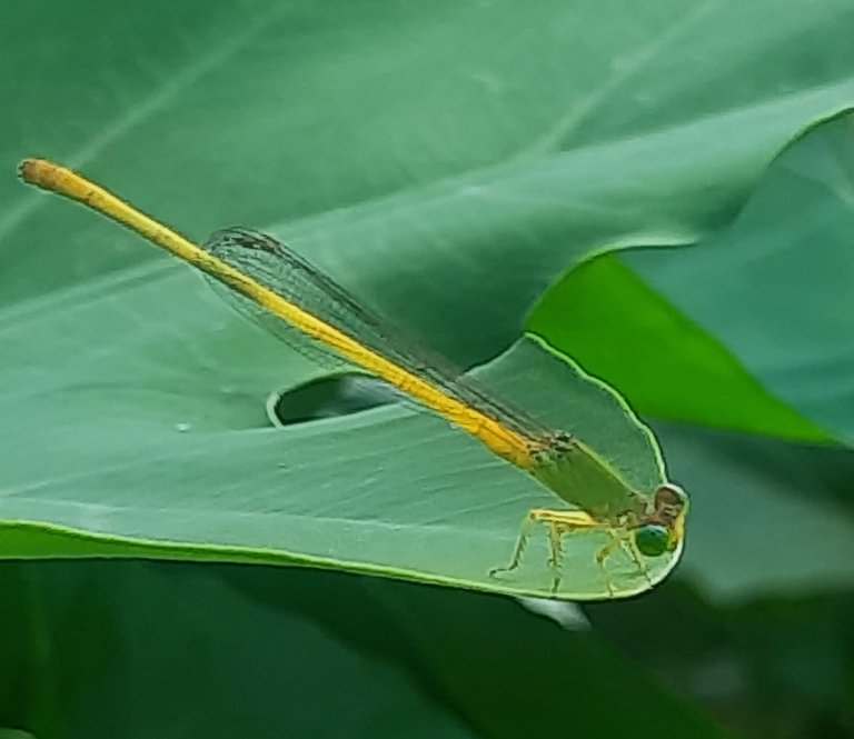 20250819_153725.jpg