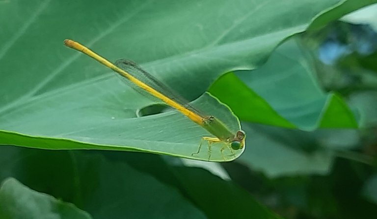 20250819_153726.jpg