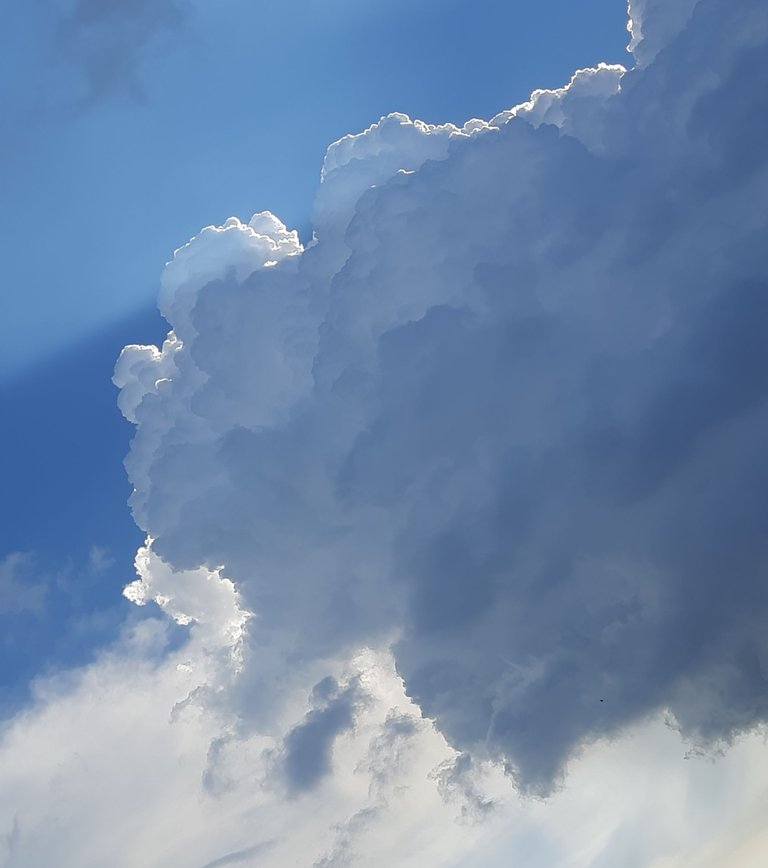 20250815_161929.jpg