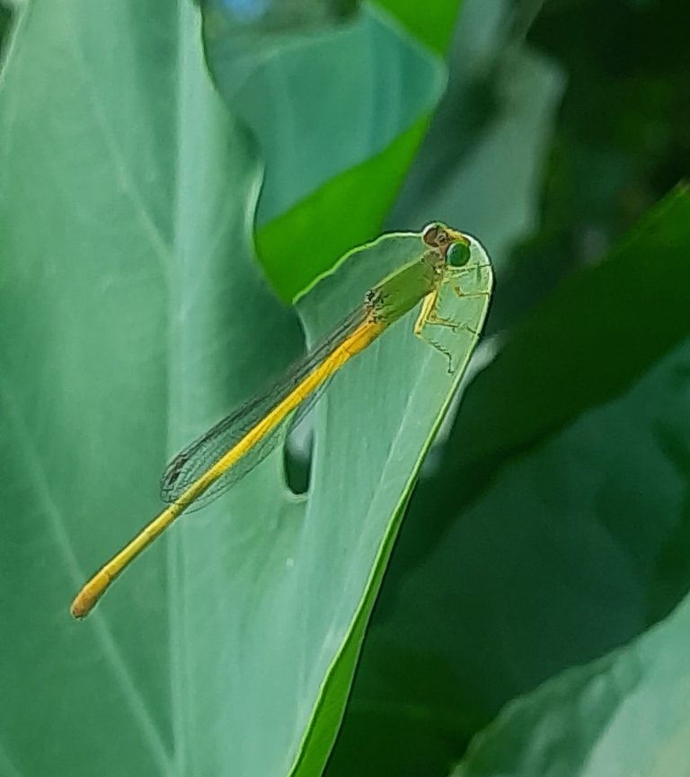 20250819_153731.jpg