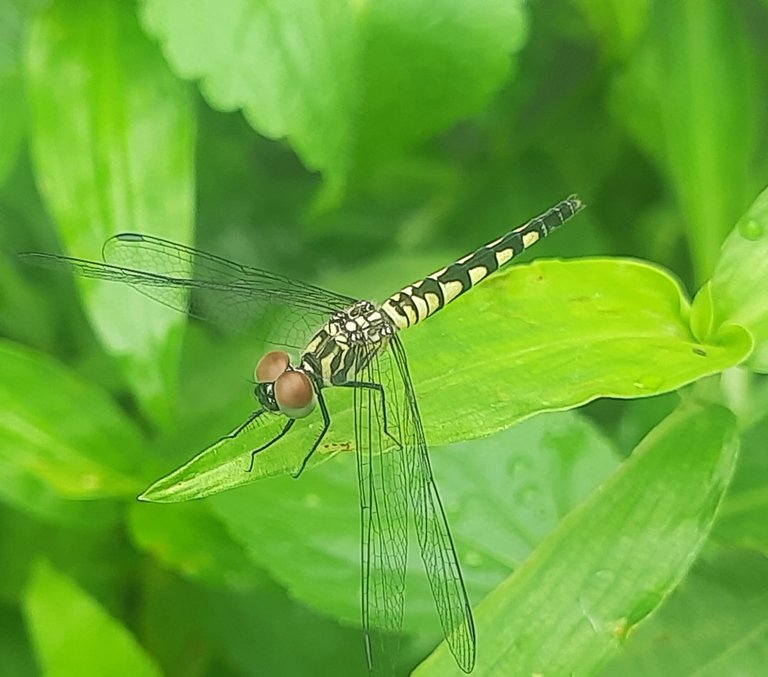 20250821_153650.jpg