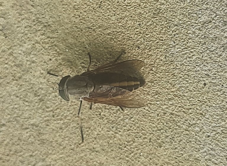 20250812_140219.jpg