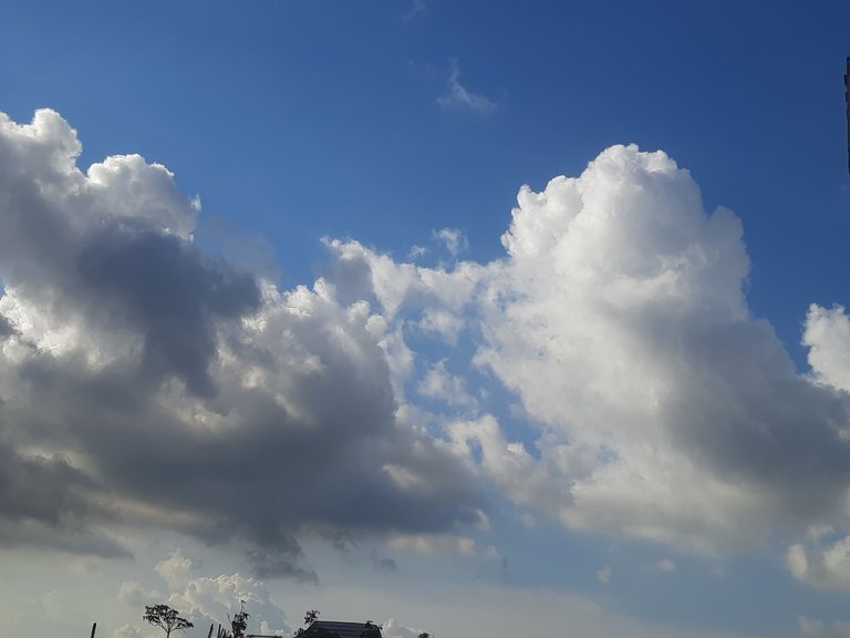 20250815_162749.jpg
