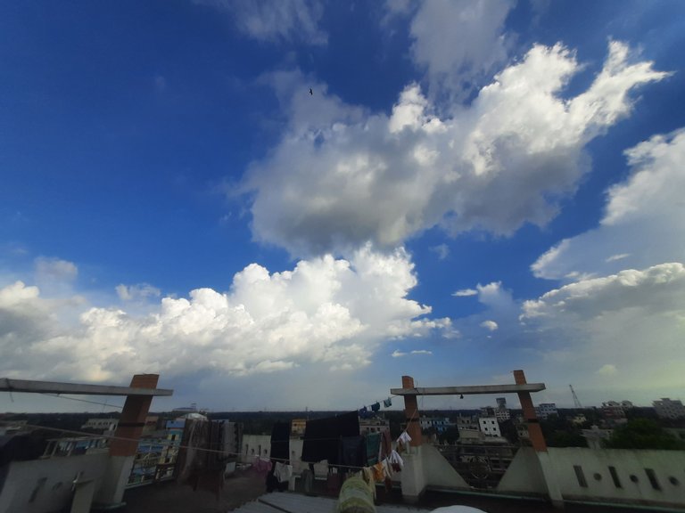 20250815_162125.jpg