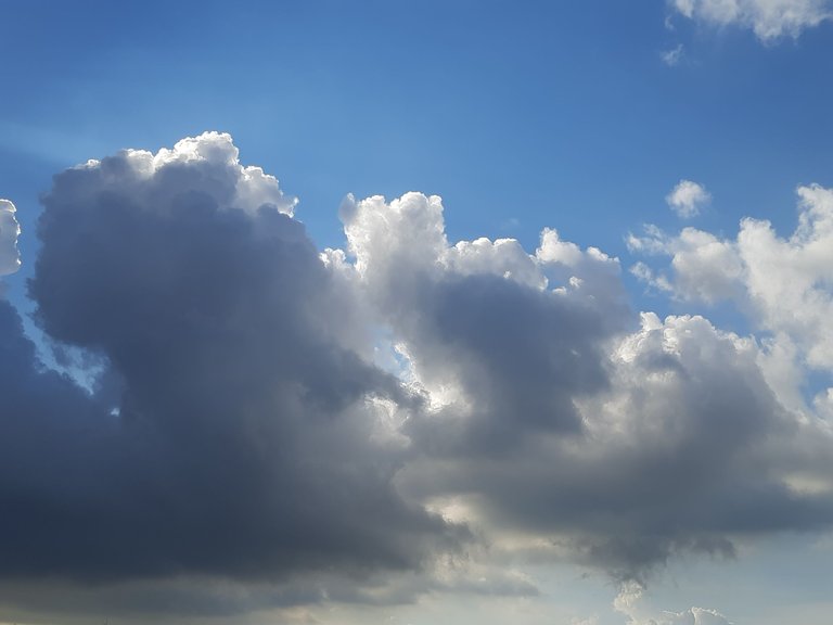 20250815_162648.jpg