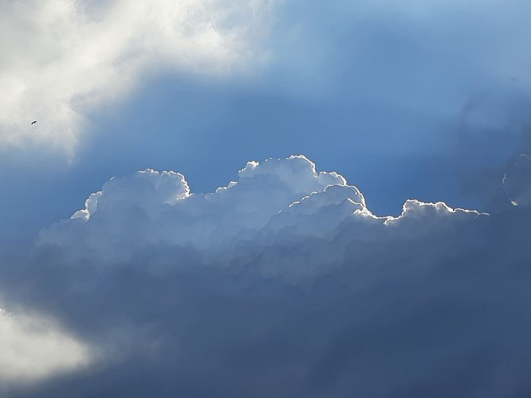 20250815_161612.jpg