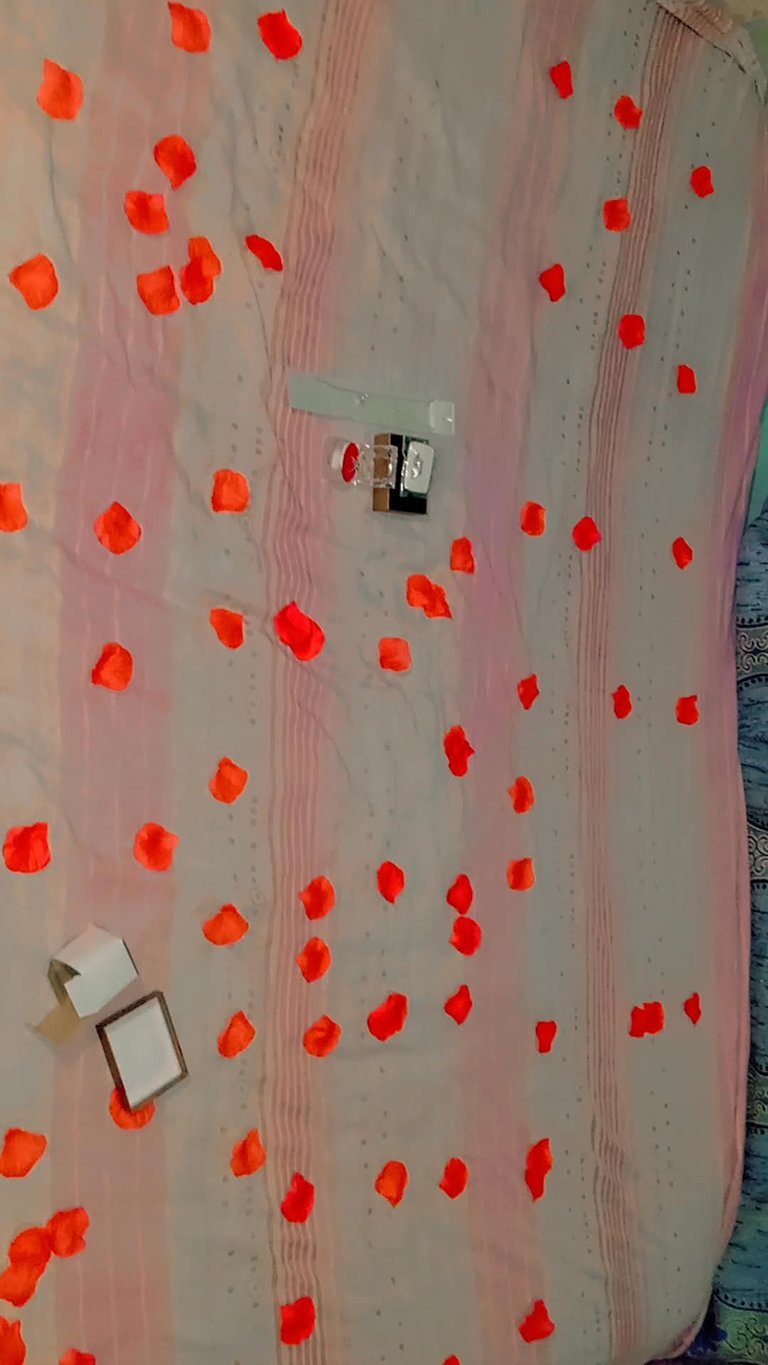 Snapchat-1485851357.jpg
