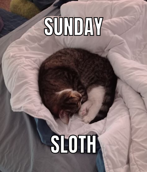SUNDAY.png