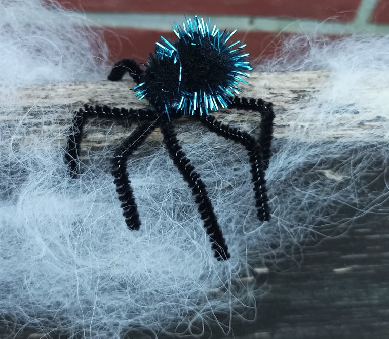 kleine spinne.jpg