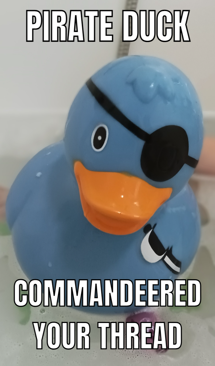 PIRATE DUCK.png