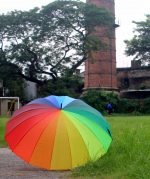 Colourful-Umbrella-143586-pixahive-150x179.jpg