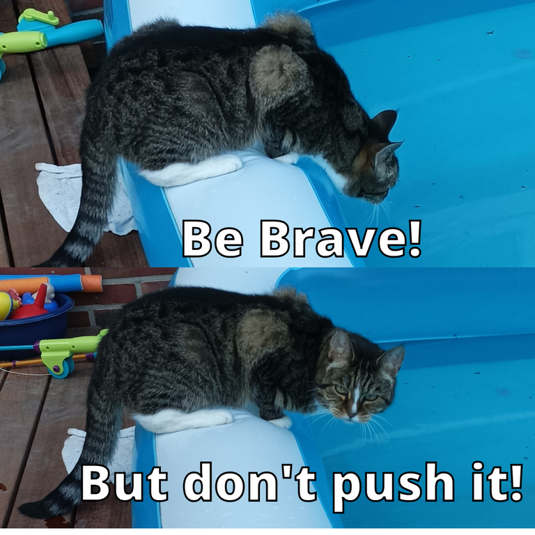 Be Brave!.png