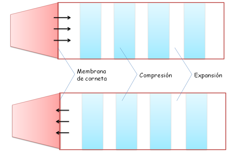 Diapositiva2.PNG