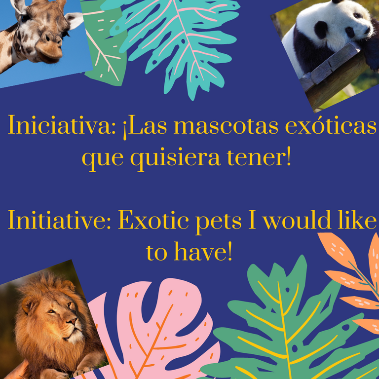 Iniciativa ¡Las mascotas exóticas que quisiera tener! (2).png