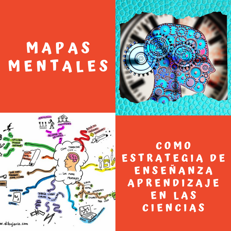 Mapas Mentales (2).png