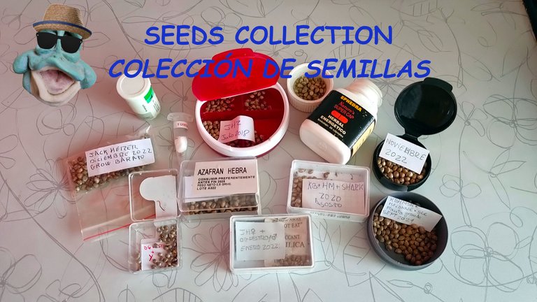 Seeds_Collection.jpg